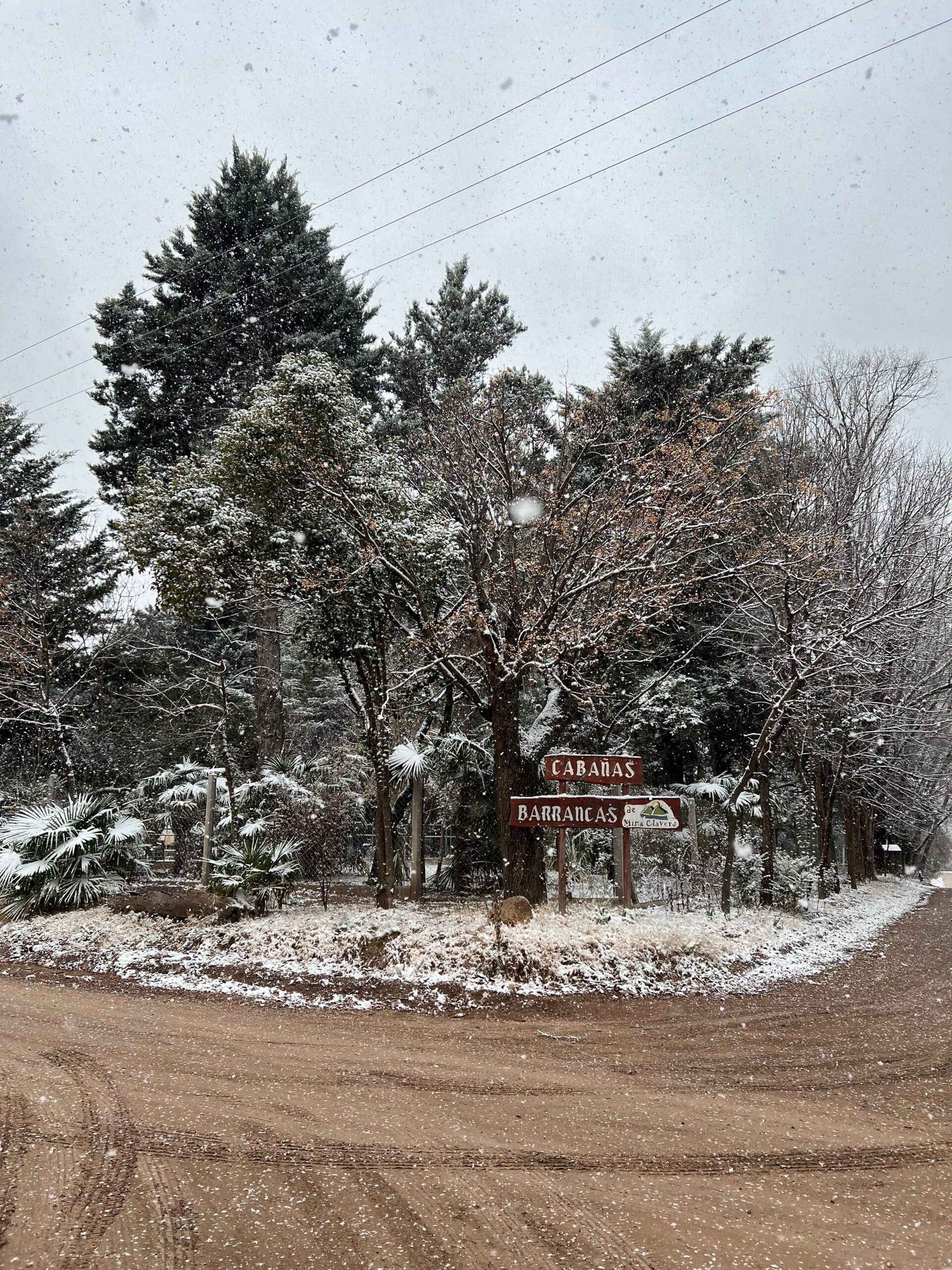 imagen de whatsapp 2025 12 01 a las 16.07.40 3337f6ca